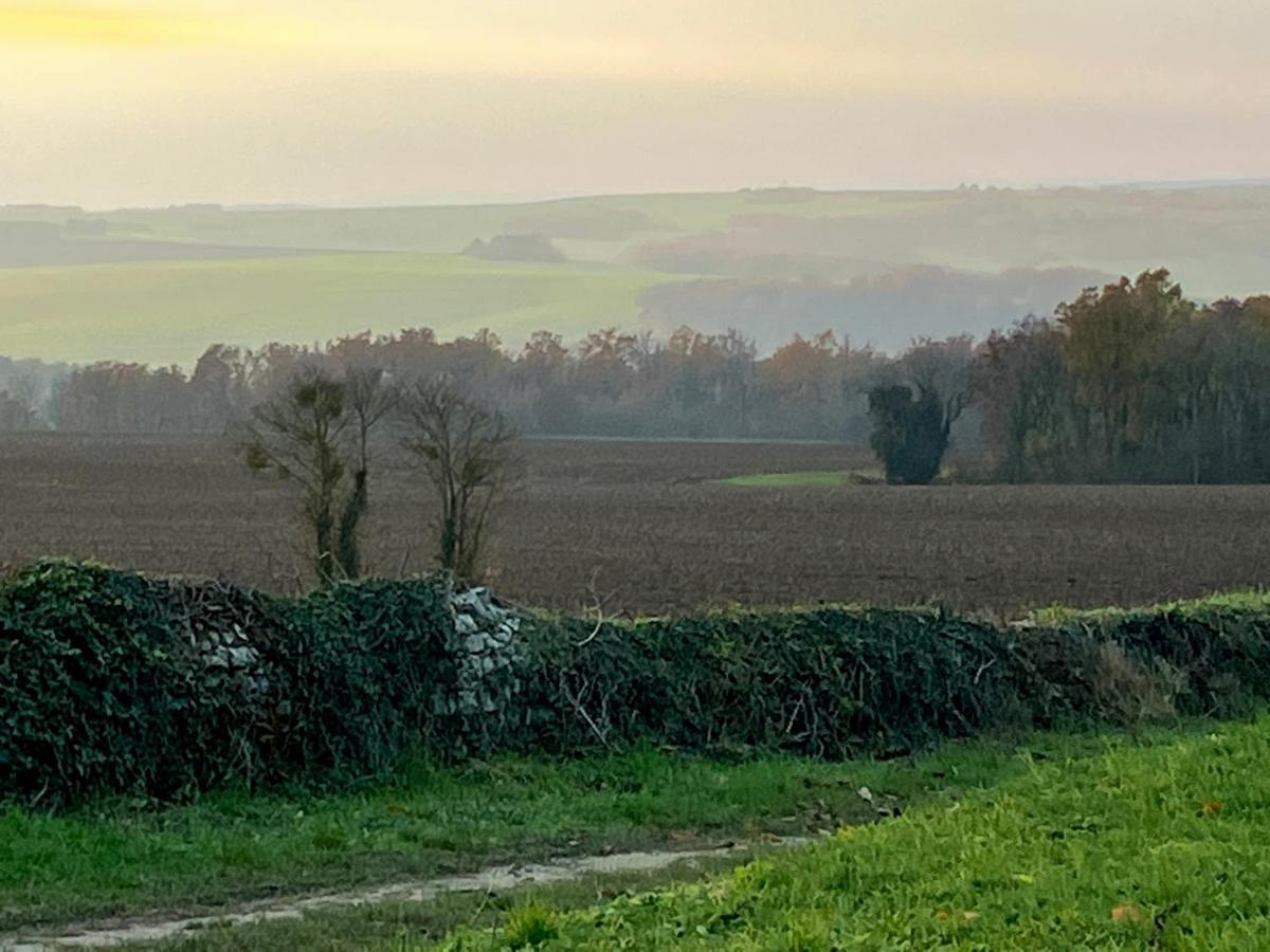 Vila Voyage… Noyers-sur-Serein Exteriér fotografie